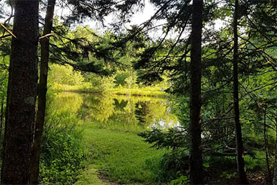 Ways to conserve your land