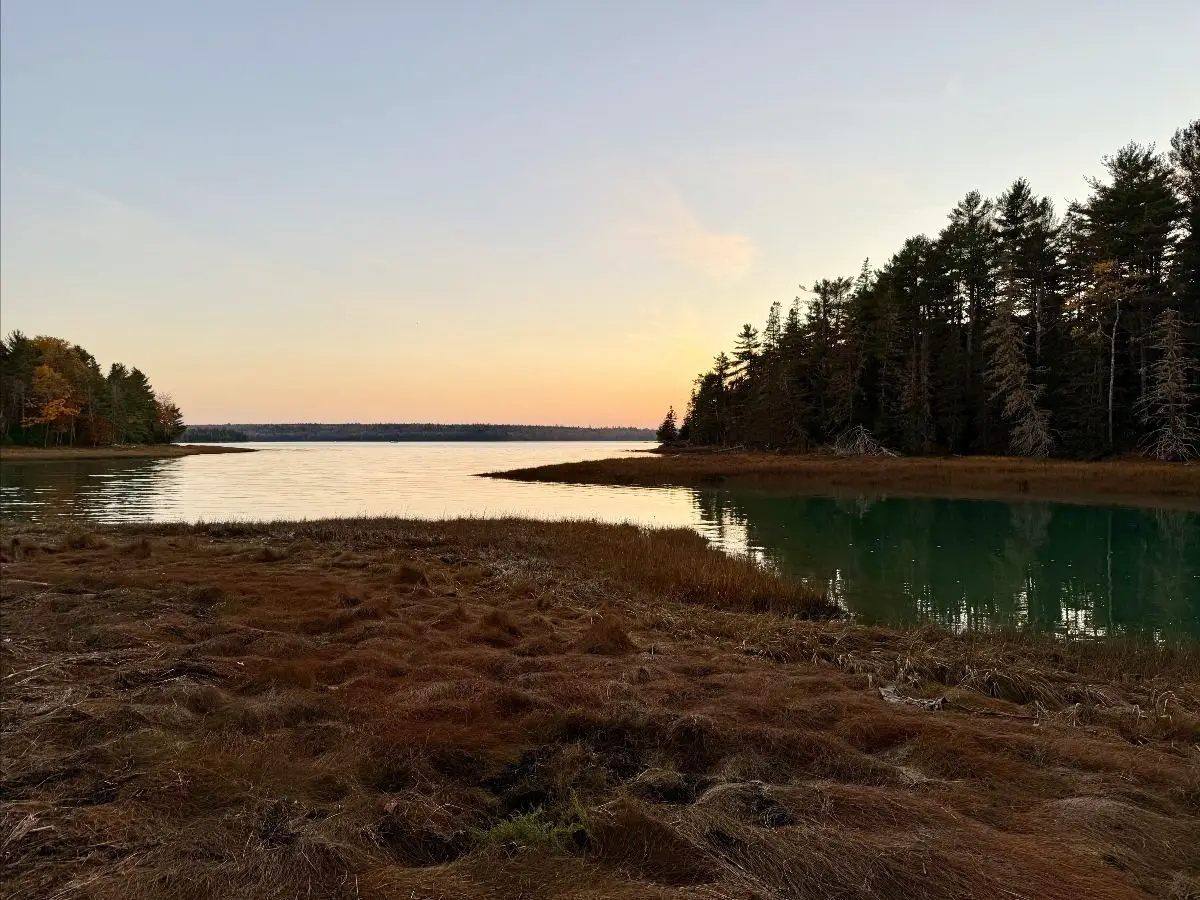 View of Old Pond / Youngs Bay